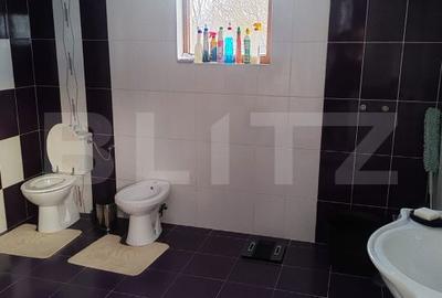 Casă cu 4 camere cu Teren 10000 Mp în Sadova - 9
