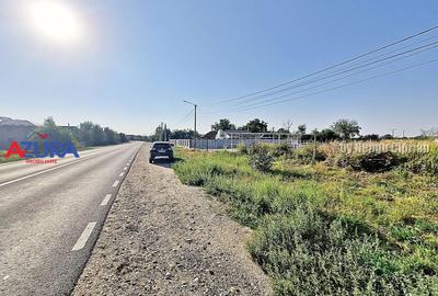 Teren Construcții intravilan de 7976 mp, în Crângurile - 30