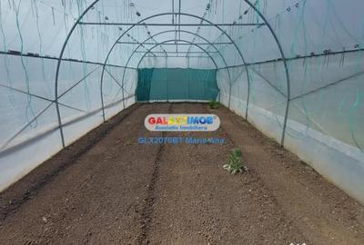Casă cu 3 camere cu Teren 800 Mp în Central - 3