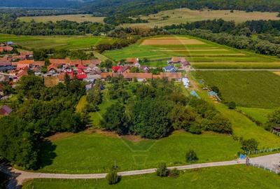 Casa saseasca cu gradina de VANZARE/ Bogata Olteana/ Hoghiz - 22