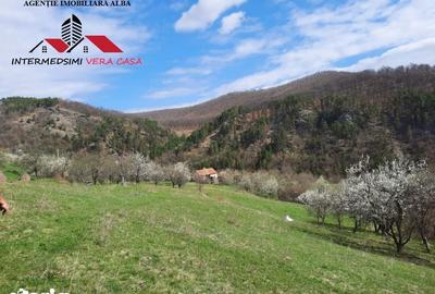 Teren de 1500 mp, în Vințu de Jos - 2