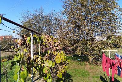 Casă în Ghirodei - 1