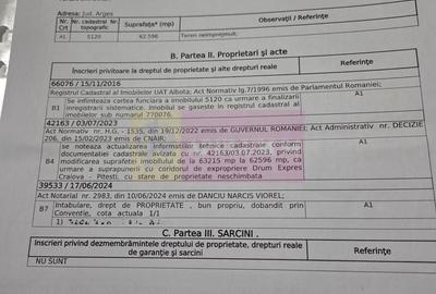 Teren agricol extravilan de 62600 mp, în Albota - 8