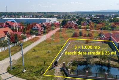 Teren Construcții intravilan de 1000 mp, în Calea Romanului - 1