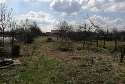 Casa si gradina de vanzare - 6