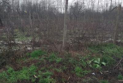 Spațiu comercial, în Rasa - 4