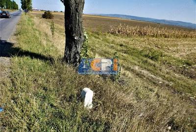 Teren iesire din Nicolae Balcescu, la 200ml de E85 Bacau - 1