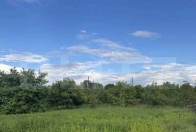 Teren intravilan, de vanzare, 800 mp, zona Simeria - 1