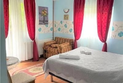 Pensiune complet utilată în Predeal, teren de tenis, garaj 4 mașini - 15