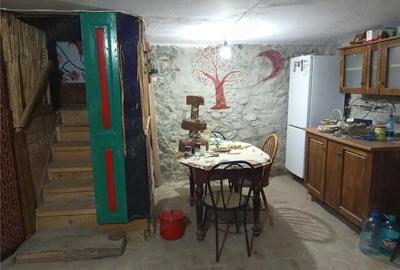 Casă cu Teren 744 Mp în Ilidia - 3