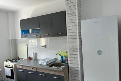 Apartament cu 2 camere decomandat în Colentina - 6