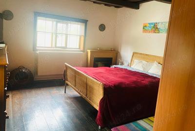 Casă cu 2 camere cu Teren 1500 Mp în Brazii - 2