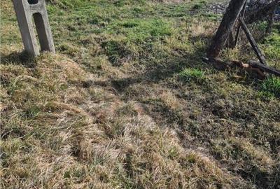 RECO Casa in Ungaria cu teren generos - 2