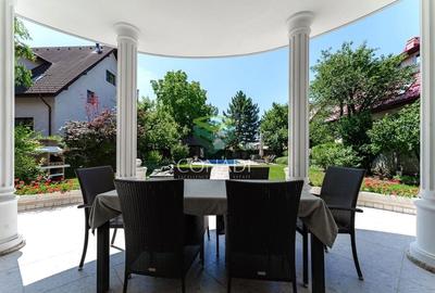 Iancu Nicolae, vila speciala cu 6 camere, 1621 mp teren, de vanzare - 13