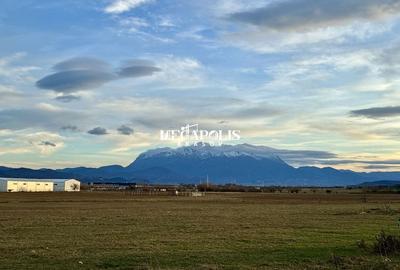 Casă / 2 camere / Codlea / Credit - 18