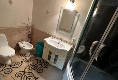 Apartament cu 2 camere semidecomandat în Pantelimon - 5