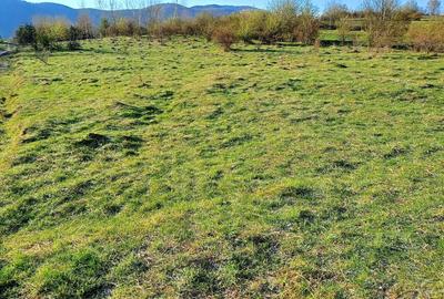 Teren de 500 mp, în Cisnădioara - 3