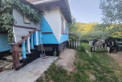 Casă cu 2 camere cu Teren 700 Mp în Cuzăplac - 4