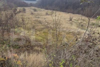 Teren de 1765 mp, în Central