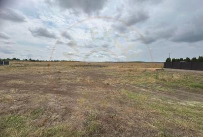 Comision 0% - Teren 10.000 mp - Str. Octavian Goga, Craiovei! - 1