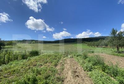 Teren intravilan in suparafat de 19213 mp, zona Valea Mitii - 1