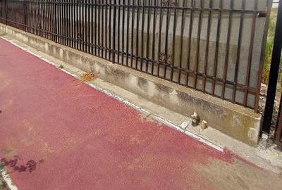 Teren de vanzare Valu lui Traian - 1