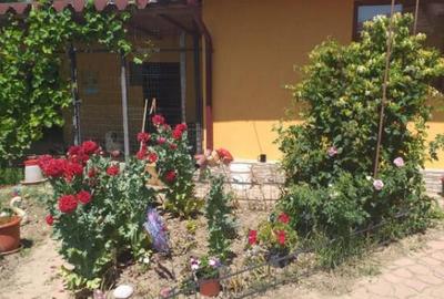 Casă cu 3 camere cu Teren 300 Mp în Horia - 7