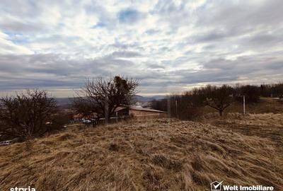 Spațiu comercial, în Deușu - 2