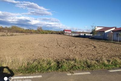 Snagov Ghermănești 4000 Mp Teren de vânzare L3 S+P+1E+M LIDL Ieșirea Spre A3 - 8