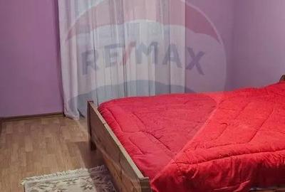 Casă cu 7 camere cu Teren 3141 Mp în Ploștina - 10
