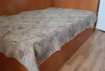 Apartament 2 cam Lapus Arges - Sucpi - 6