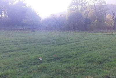 Teren de 3300 mp, în Dobra - 1