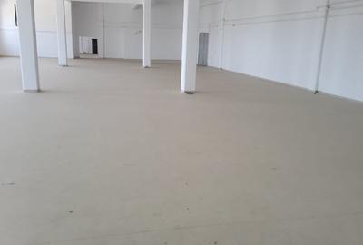 HALA INDUSTRIALA DE VANZARE/INCHIRIERE - 4