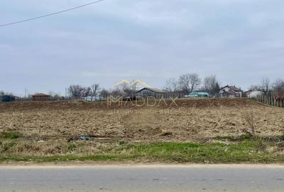 Teren Construcții intravilan de 4128 mp, în Gruiu - 2