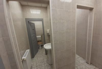 Spațiu industrial, de 550 mp, în Theodor Pallady - 8