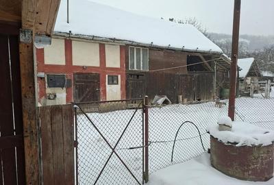 Casă individuală cu 3 camere cu Teren 1263 Mp în Dileu Nou - 7
