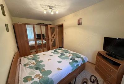Apartament cu 2 camere semidecomandat, mobilat în Cetate - 19