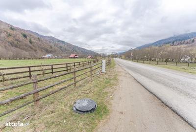Teren de 6900 mp, în Plaiul Foii - 5