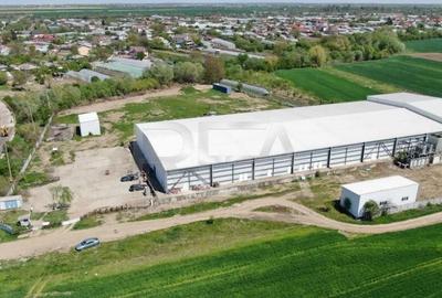 Hala temperatura controlata | Depozitare/Productie | Vidra\C - 7