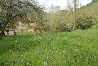 Spațiu comercial, în Vidra - 3