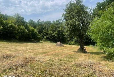 Teren de 7197 mp, în Central - 3