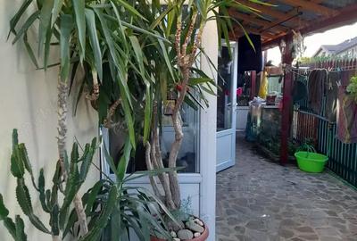 Casa de vanzare tip duplex Casa de vanzare tip duplex - 7