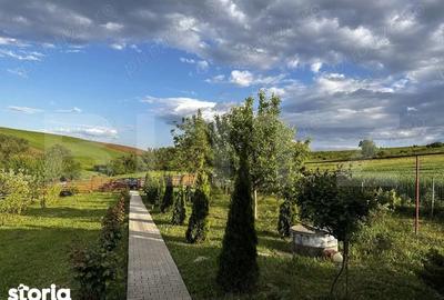 Casă cu 2 camere cu Teren 1751 Mp în Central - 2