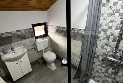 Cabana complet echipata in Baile Figa - 5 dormitoare, 2 bai, aer conditionat - 11
