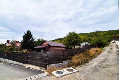 Casa , teren intravilan Valea Mare Stefanesti Arges - 4