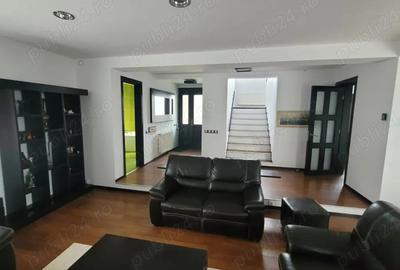 Casa deosebita ?tefane?tii Noi, Arge? - 3