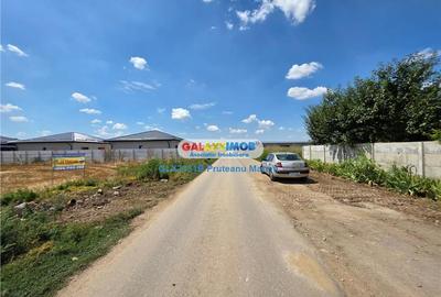 Teren Construcții intravilan de 450 mp, în Clinceni - 6