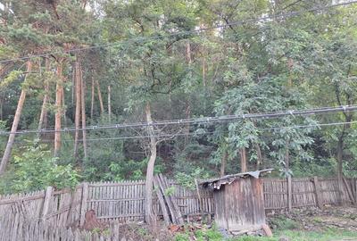 Vinzare proprietate in Catina jud.Buzau - 3