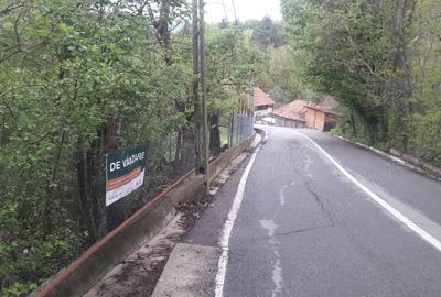 Teren de 917 mp, în Cornu - 6