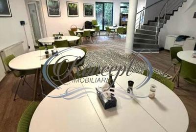 Spatiu de birouri in vila, cartierul Europa - 11